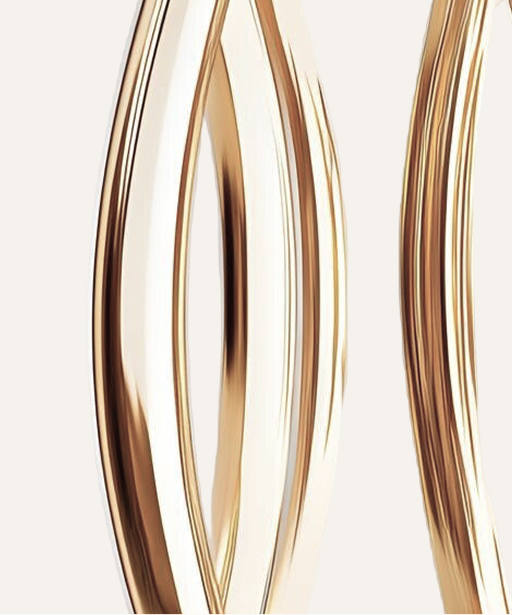 Twist of Elegance Earrings