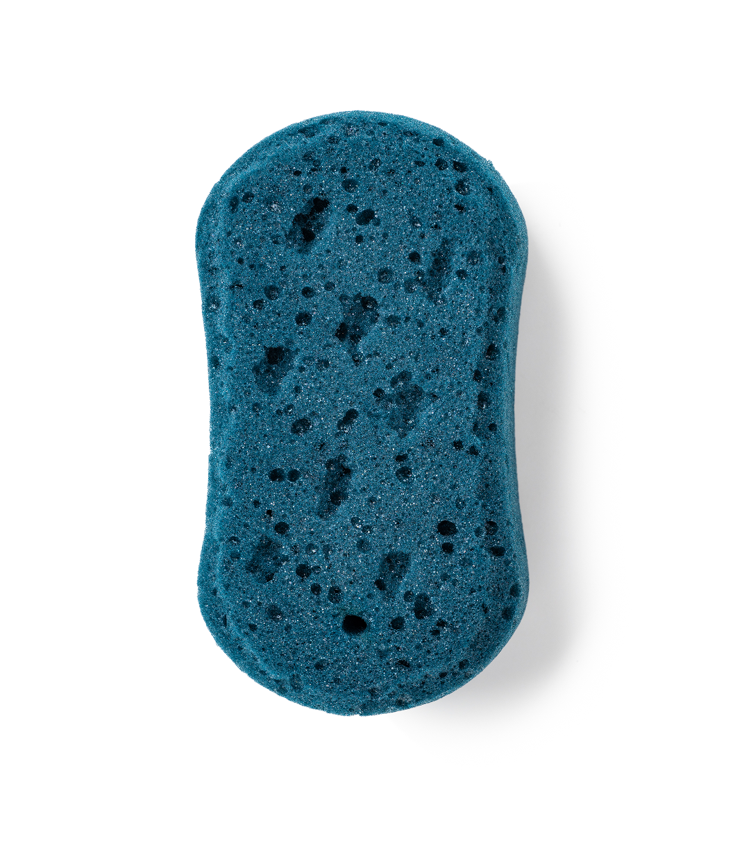 Blue Sponge TheOne